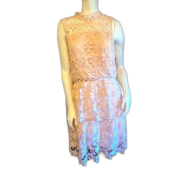 BooHoo Petal pink Embroidered Lace Dress Sz 14 Women's  NWT - Picture 1 of 10